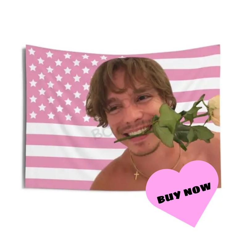 Tate Mcrae Pink America Flag, 3x5 feet Flag, Home Décor, Gifts for Fans