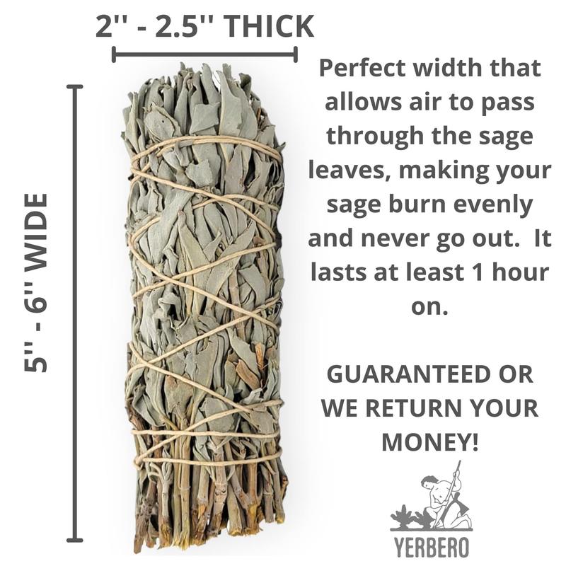 (Pack of 3)- Yerbero - Premium 5 Inches Long California White Sage |Super Thick 2 Inches Width | 3 Hand Tied Wands - Smudging Kit for Home Cleansing, Meditation, Relaxation, Peace, Love, Purifying.