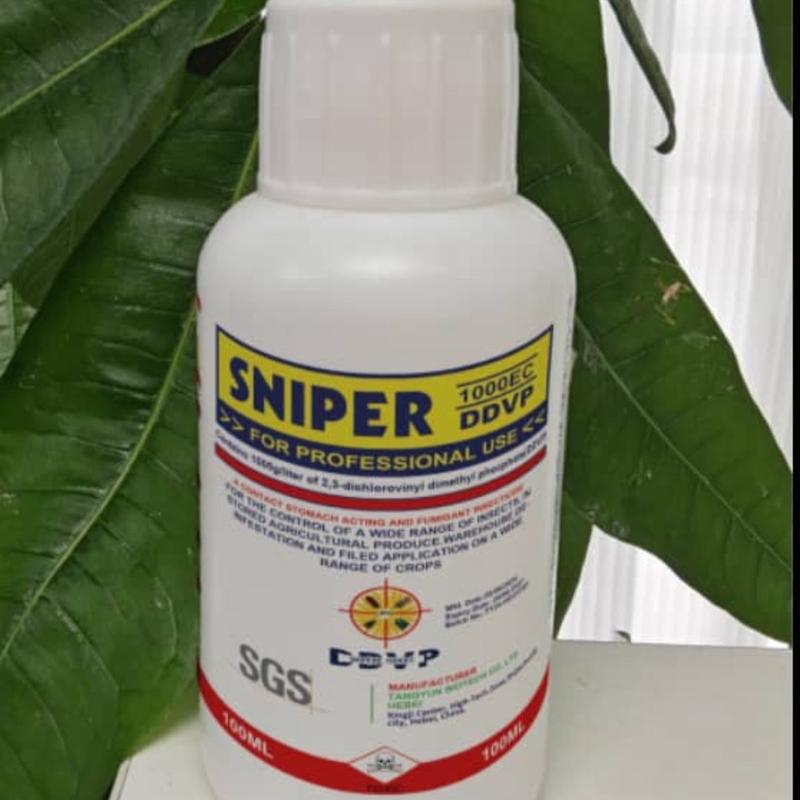 HB-Hot Selling The Sniper for Roaches - Safe Home Solution for Cockroaches