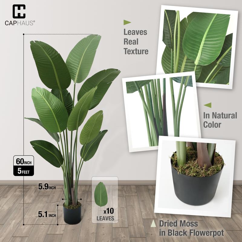 CAPHAUS Artificial Bird of Paradise, Premium UV Resistant Lifelike Fake Plant in Pot with Dried Moss for Office, Indoor Outdoor Use & Tropical Home Décor, Available Size in 4 ft., 5 ft., 6 ft. & 7 ft.