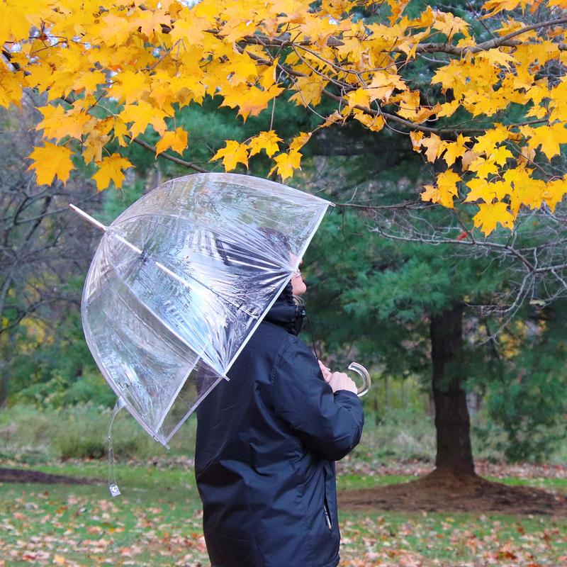 Adult Clear Bubble Umbrella with Dome Canopy and Lightweight Wind and Rain Protection