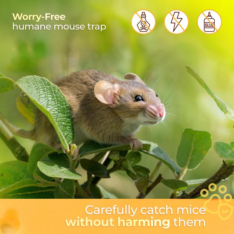 CTB Dealz Mice Traps Catch and Release - Live Mice Trap Outdoor or Indoor for Home - No Kill Catcher - Reusable Plastic Cage