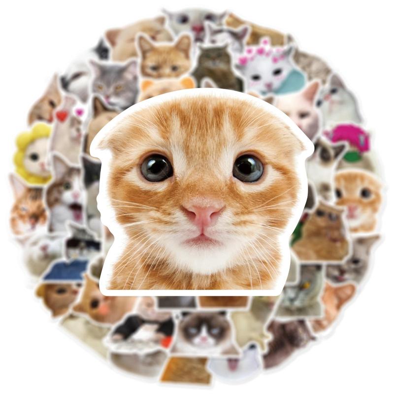 50pcs Cute Cartoon Cat Pattern Sticker, Funny Cat Animal Waterproof Cartoon Sticker, Decoration Sticker For Computer, Guitar, Bag, Water Cup, Scrapbook