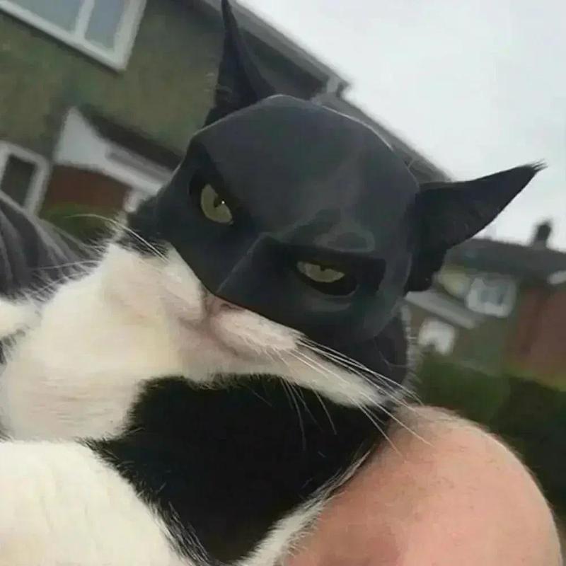 New Bat Cat Avenger Mask Bat Cat Avenger Mask Cat Mask Pet Supplies