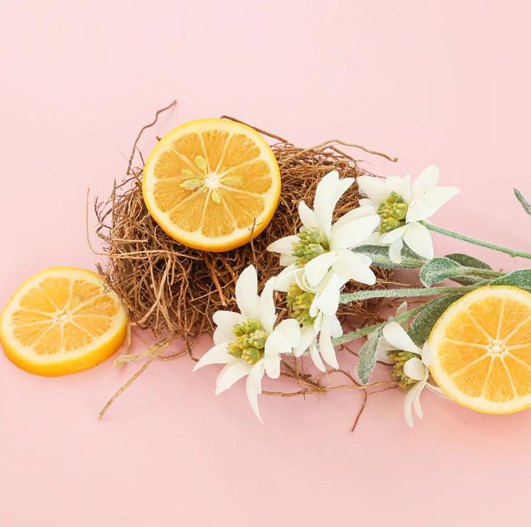 Coconut Verbena | Wild Flower Body Wash Bath Sponge