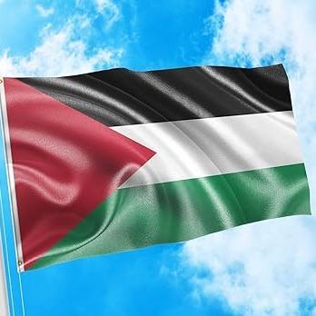 Palestine Flag Large (package deal 3 for $40)