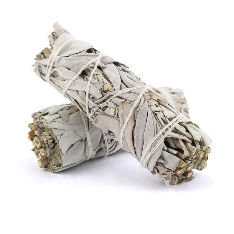 White Sage Smudge Sticks with Smudge Guide (3 PK)