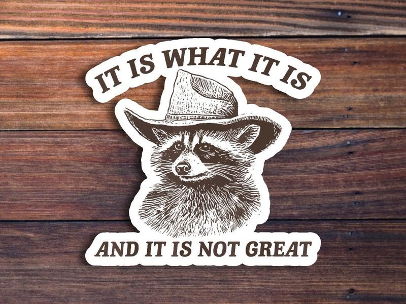 Outside I Skrrt But Inside I Hurt Raccoon Driving Waterproof Weatherproof Vinyl Sticker Decal