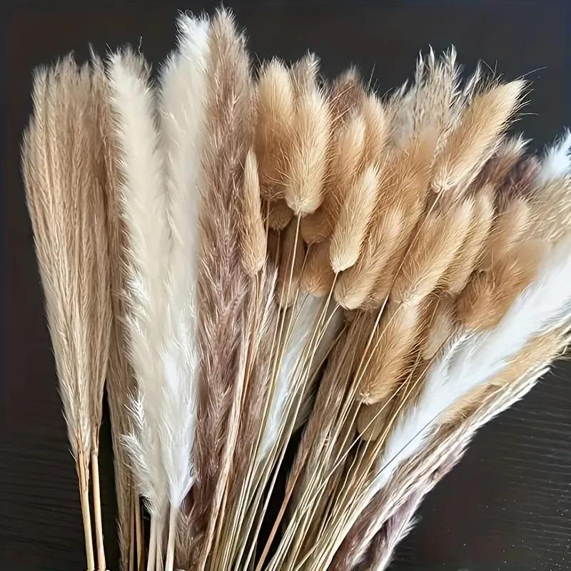 Christmas Room Decor,Natural Dried Pampas Grass, Home Decorative Grass, Dried Pampas Grass for Home Table Decoration, Party Decor, Room Decor,fruit,plants,ornaments,dry flowers,interior