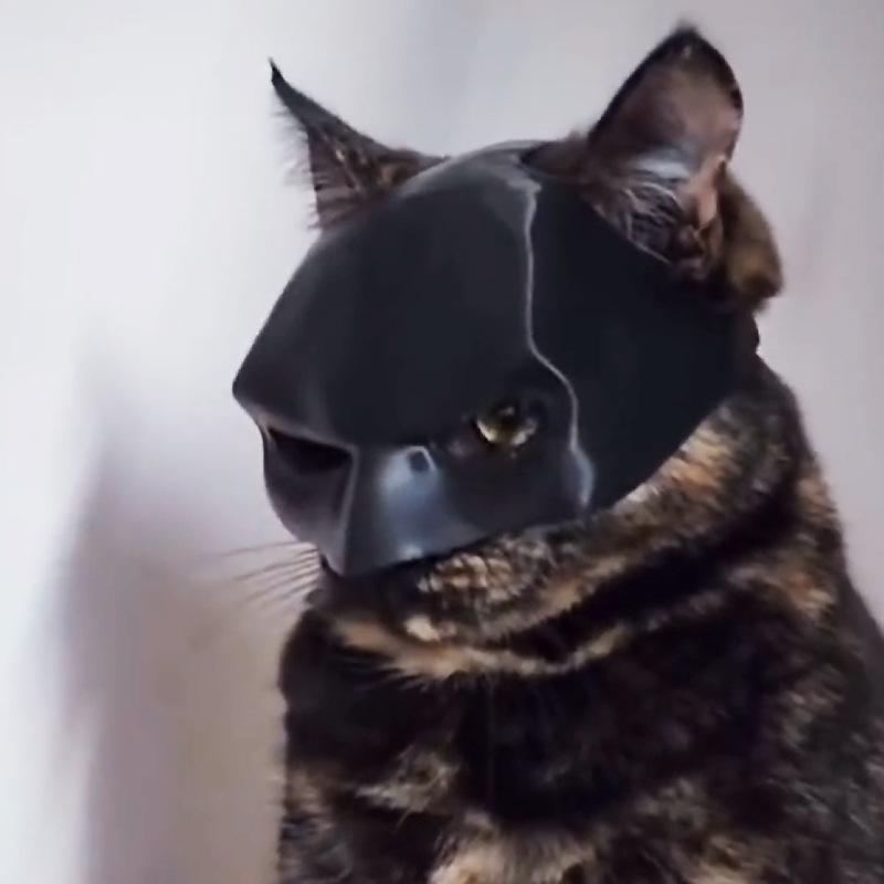 Bat Cat Avenger Mask Cute Wacky Cat Mask Creative Cat Masks Pet Supplies Halloween Christmas Pet Decoration