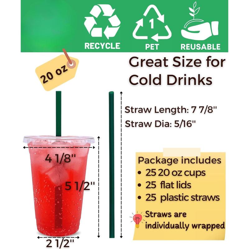 20 Oz Clear Plastic Cups with Lids and Straws, Disposable Coffee Cups 25 Sets