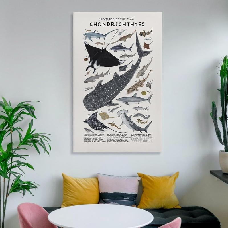 Shark Wall Art Animals Pictures Chondrichthyes Guide Poster Knowledge Prints Animals Fish Canvas Chart Poster Room Aesthetic for Home Classroom Office Bathroom Wall Decor Canvas Painting Wall Art Post