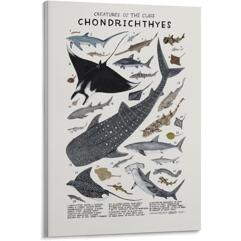 Shark Wall Art Animals Pictures Chondrichthyes Guide Poster Knowledge Prints Animals Fish Canvas Chart Poster Room Aesthetic for Home Classroom Office Bathroom Wall Decor Canvas Painting Wall Art Post