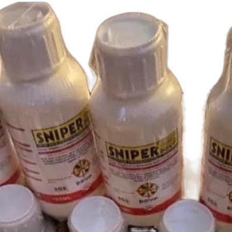 Effective Sniper for Roaches and Fly Control -Non-Toxic Solution for Rats and More