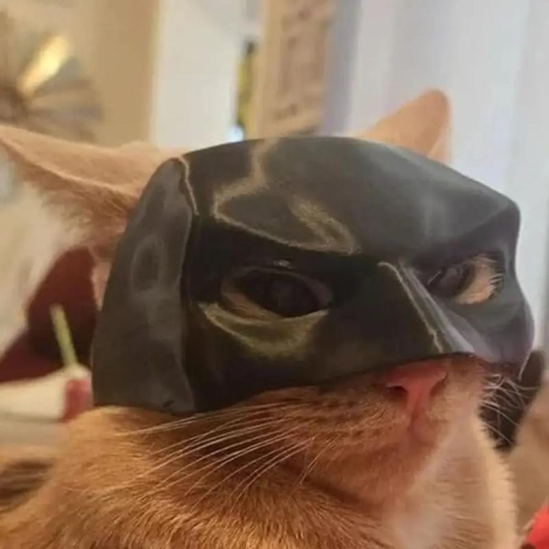 BatCat Cool Cat Mask Cat Superhero Mask Matte Cute Bat Mask Superhero Accessory for Kitties and Cats