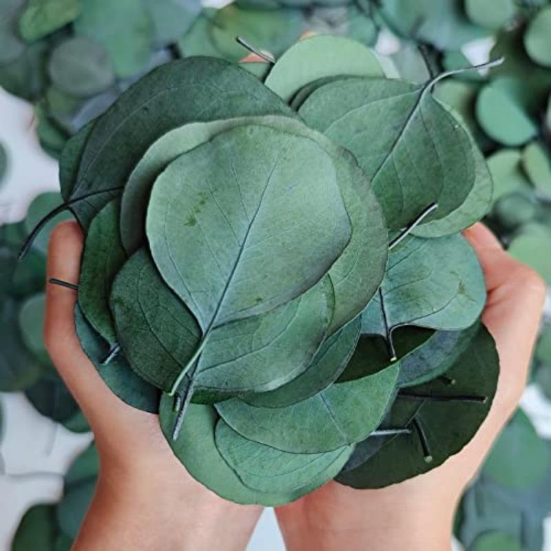 200pcs Real Eucalyptus Leaves for Shower Eucalyptus Leaves for Shower Fresh Shower Plants Preserved Petals Decoration Aisle Decoration Wedding Ceremony