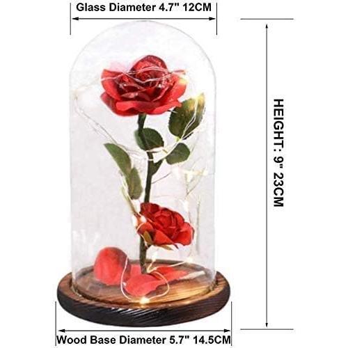 Purchase Products Beauty and the Beast Roses, Ladies Gift Ideas Birthday, Anniversary Rose Gift Decoration Artificial Flower Gift Romantic Red Silk Roses, Flowers in Glass Dome   Plants Ornaments